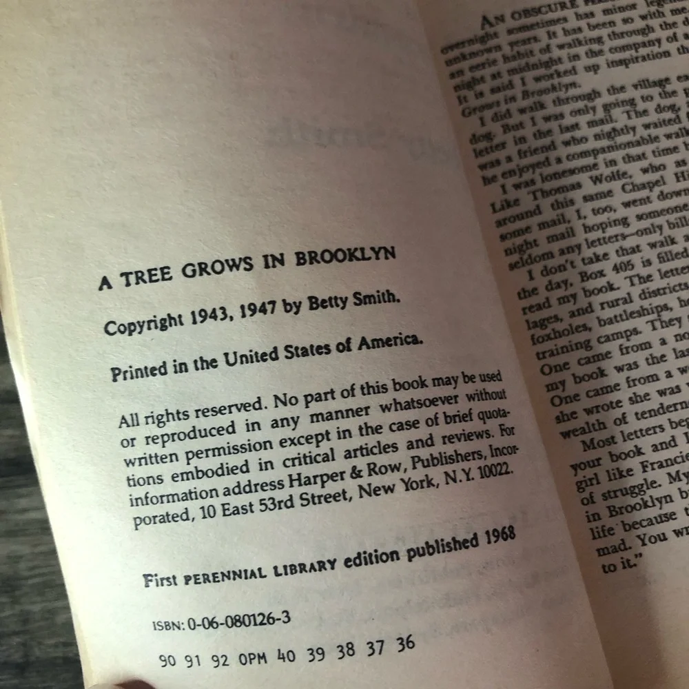 CHILD OF THE RIVER & A TREE GROWS IN BROOKLYN 2 paperback books historical